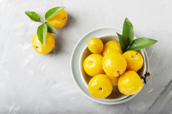 Découvrez l'arbre fruitier mirabellier : conseils de culture et variétés